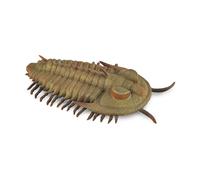 CollezionaUna replica animale realistica Redlichia Rex Trilobite Figure Large Et