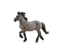 CollezionaUna replica realistica di animali dello stallone islandese Dun figura