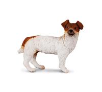 CollezionaUna replica realistica di animali Jack Russell Terrier figura piccola