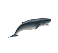 CollezionaUna replica realistica di un animale pigmeo di un capodoglio di età me