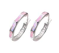 Collezione clous d'oreilles Orecchini a cerchio da donna Orecchini a cerchio Gioielli Compleanno Gioielli leggeri pendenti per donna San Valentino per parenti e