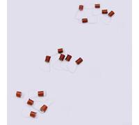 Collezione completa di 10 ance Suona in plastica realizzate appositamente per le esigenze dei musicisti (taglia L)