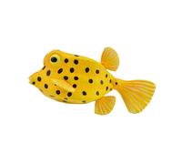 Collezione da collezioneUna action figure di pesce con scatola unica, piccola, p
