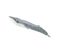 Collezione da collezioneUna figura di balenottera azzurra extra large per bambin