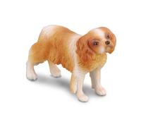 Collezione da collezioneUna figura di Cavalier King Charles Spaniel di età media