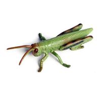 Collezione di giocattoli e insetti di cavallette - Figure di cavallette altamente dettagliate per l'apprendimento dei bambini, studio della, decorazioni di Halloween e esposizione scientifica
