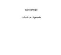 Collezione di poesie