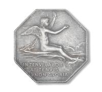 Collezione monete antiche francia, Moneta argento francesi, monete oro vecchie lire italiane, per collezionisti moneta commemorative antica europee (1846-1911 Oscar Roty Chambre de Commerce de Lyon)