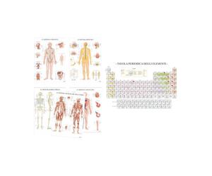 Collezione Poster Scientifici - Anatomia Umana e Tavola Periodica degli Elementi