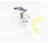 Collezione Reale Di Bleach 2 Gashapon Mini Figura: Yasutora Sado (Chad)