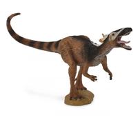 Collezione Xiongguanlong