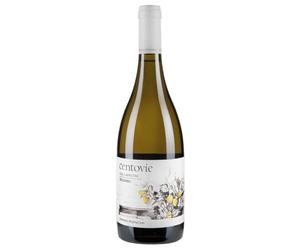 Colli Aprutini IGT Pecorino Centovie Umani Ronchi 2022 0,75 ℓ
