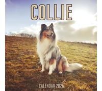 Collie Calendar 2026: 14-Month Organizer from Nov 2025 to Dec 2026 | Perfect for Home, Office, School & Family Scheduling, For Men , Women , Girls , Boys
