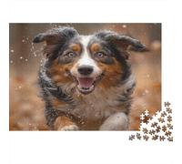 Collie di frontiera Jigsaw Puzzle Impossible 1000Pcs Cane tricolore Decorazione Per La Casa. Giochi Rilassamento E Intelligence Per Adulti E Bambini Da 12 Anni 1000pcs (75x50cm)
