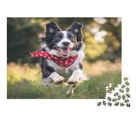 Collie di frontiera Puzzle Impossibili 1000Pcs prato forestale Decorazione Per La Casa. Rilassamento E Intelligence Per Adulti E Ragazzi Da 14 Anni 1000pcs (75x50cm)