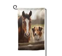 Collie Dog and Horse Together Bandiere da giardino verticale su entrambi i lati bandiera della casa 30,5 x 45,7 cm bandiera stagionale primavera estate vacanze fattoria cortile decorazione da