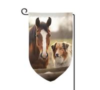 Collie Dog and Horse Together Bandiere da giardino verticale su entrambi i lati bandiera della casa 30,5 x 45,7 cm bandiera stagionale primavera estate vacanze fattoria cortile decorazione da