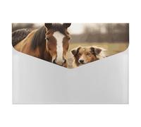Collie Dog Horse Fisarmonica File Organizer 6 tasche portadocumenti espandibile Cartella a fisarmonica con etichette, cartelle da viaggio in plastica con chiusura a scatto, 33 x 23 cm
