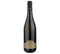 Colline Teatine IGT Marina Cvetic Chardonnay Masciarelli 2018 0,75 L