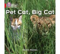Collins Big Cat Phonics Pet Cat, Big Cat Band 02A, Red A: A photographic recount comparing pet cats and big cats