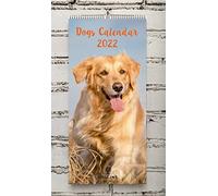 Collins Calendario da parete Wiro 2022-390 x 180 mm