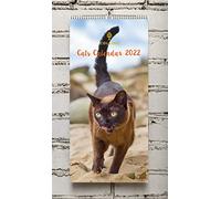 Collins Calendario da parete Wiro 2022-390x180mm