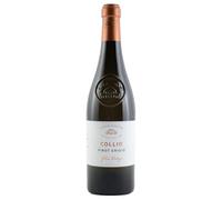 Collio DOC Pinot Grigio Folini Vintage Villa Folini 2025, 0,75 ℓ