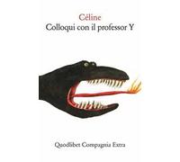 Colloqui con il professor Y