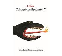 Colloqui con il professor Y