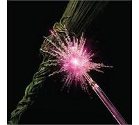 Colonna Sonora - Wicked For Good - 2 Vinili (rsd black friday 2025 - limited...