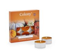 Colony Pumpkin Spice Tealight