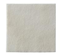 Coloplast MEDICAZIONE BIATAIN ALGINATE AG ALGINATO CON ARGENTO 15X15CM 10 PEZZI