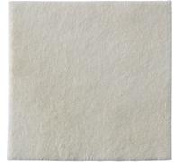 coloplast spa Biatain ag alg.10x10x10 3760