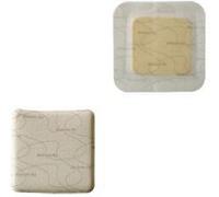 coloplast spa Biatain Ag N/ades.10x10 5pezzi