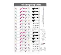 Color-Coded Flute Fingering Chart - Easy-Read Reference Poster for Beginners to Advanced, Essential Music Classroom & Practice Room Wall Art (Unframed,08x12inch(20x30cm))