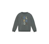 COLOR KIDS Pullover ' COSweat W. JR. Logo Print ' verde Bambini COLOR KIDS 116