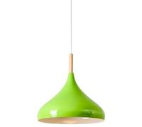 Color - Nordic Pendant Light, 1-Head Wooden Chandelier Shade, E27 Lamp Holder, Ceiling Lighting for Home(Green,12.6in)