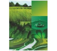 Color Splash Notebook - Green