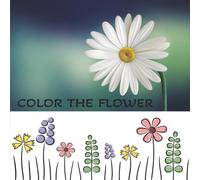 COLOR THE FLOWER: For all who love coloring