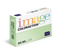 Coloraction 838A 080S 23 Antalis DIN A4, 80 gr/mq- Carta per fotocopie, colore: Verde
