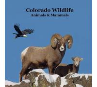 Colorado Animals and Mammals Wildlife Book: Excellent Colorado Animals Book for Children of all Ages