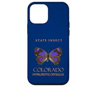 Colorado Territory Insetto La Farfalla Hairstreak Custodia per iPhone 12 mini