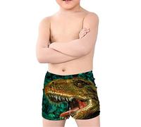 Coloranimal Teen Boy Cool Animal T-Rex Dinosaur Swim Trunks Batjing Suit Beach Board Shorts Swinwear Quick Dry 5-14Y T-rex Dinosauro 02 11-12 Anni