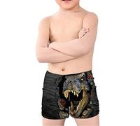 Coloranimal Teen Boy Cool Animal T-Rex Dinosaur Swim Trunks Batjing Suit Beach Board Shorts Swinwear Quick Dry 5-14Y T-rex Dinosauro 01 7-8 Anni