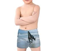 Coloranimal Teen Boy Cool Animal T-Rex Dinosaur Swim Trunks Batjing Suit Beach Board Shorts Swinwear Quick Dry 5-14Y Cavallo 7-8 Anni