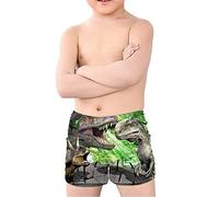 Coloranimal Teen Boy Cool Animal T-Rex Dinosaur Swim Trunks Batjing Suit Beach Board Shorts Swinwear Quick Dry 5-14Y Dinosauro 03 7-8 Anni