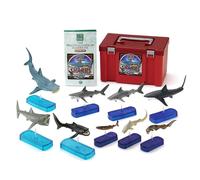 Colorata 3D Real Figure Box Sharks of the World Shark DX Action Figure Japan F/S