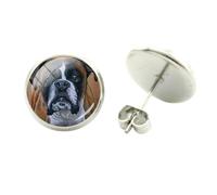 Colorato Cane Orecchini Bulldog Francese Immagine di Arte Rotondo Vetro per le donne uomini charms fatti a mano mew trendy 2017 gioielli