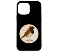Colorato Retro Ryukyu Robin Design Uccello Custodia per iPhone 13 Pro Max