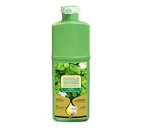 Colorazione Per Capelli In Schiuma Mousse Di Origine Vegetale A Lunga | Mousse Colorante Capelli Bianchi Uomo, Donna E Barba, Uso Quotidiano, Viaggio, Casa, Salone, Esterno E Bagno